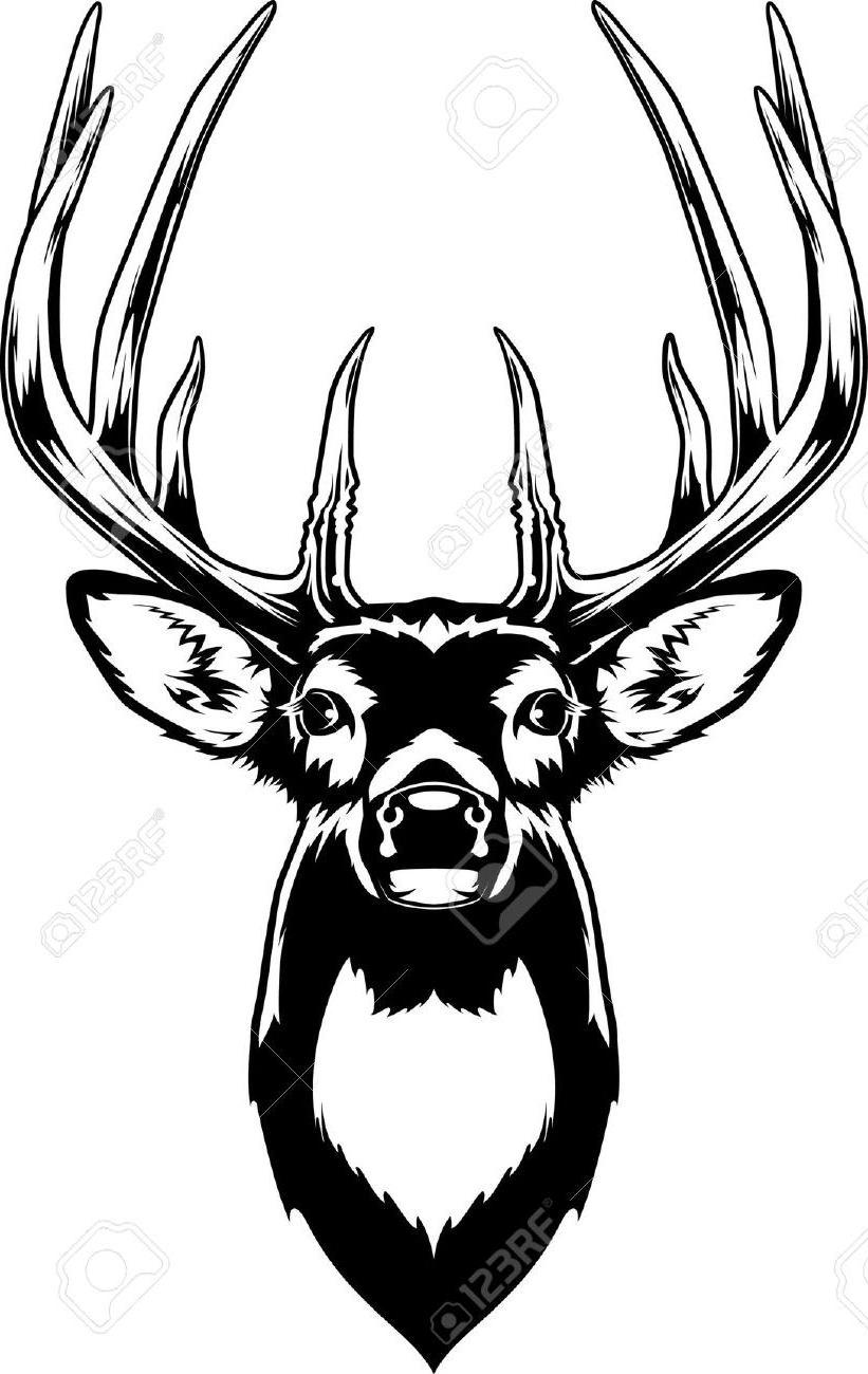 Collection of Whitetail clipart Free download best