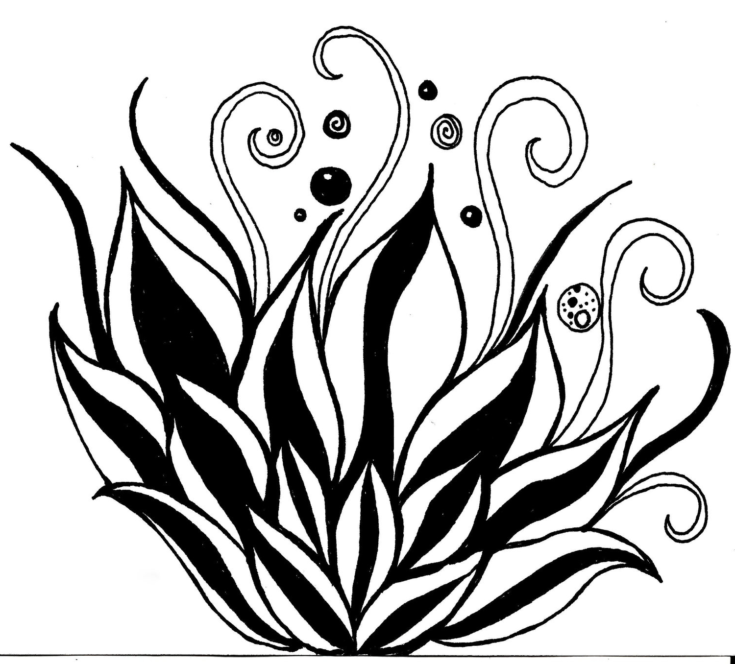 Black And White Flower Drawing | Free download on ClipArtMag