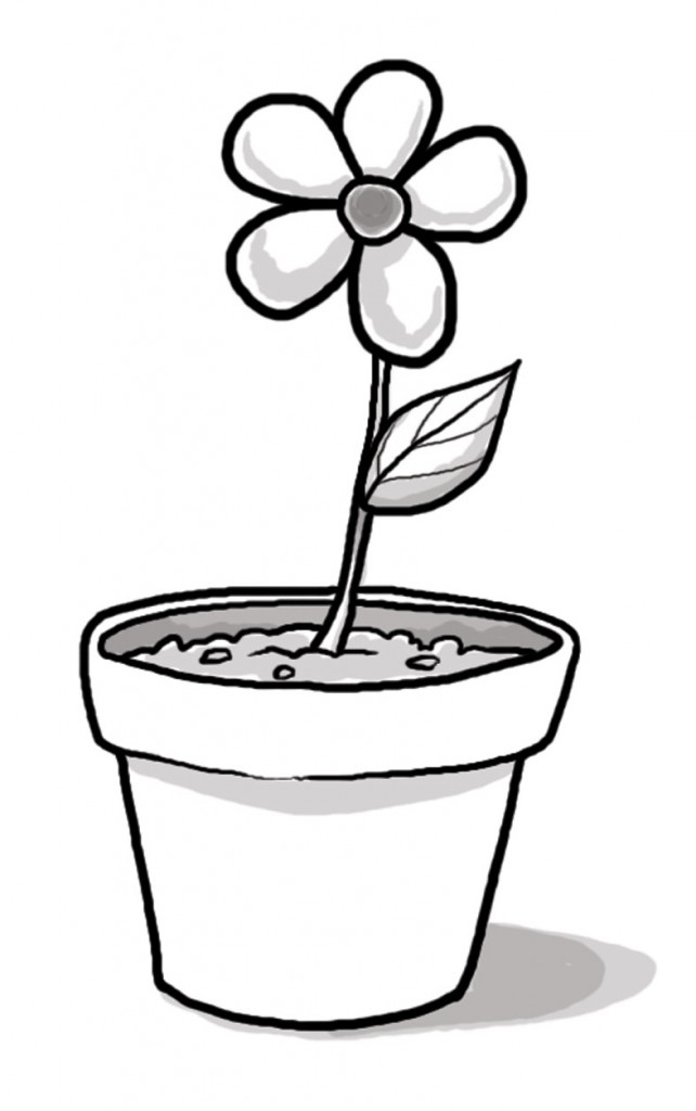 Black And White Plant Clipart | Free download on ClipArtMag