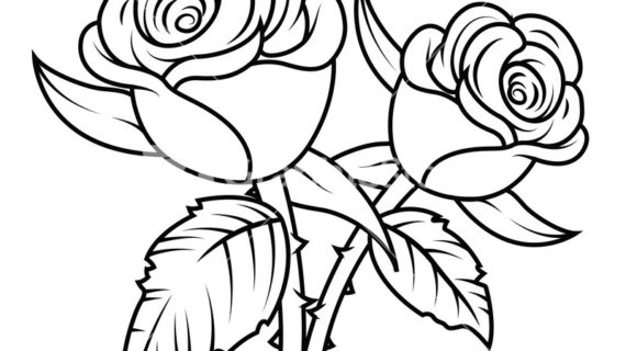 Black And White Rose Clipart | Free download on ClipArtMag