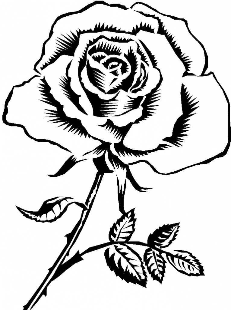 Black And White Rose Drawing | Free download on ClipArtMag