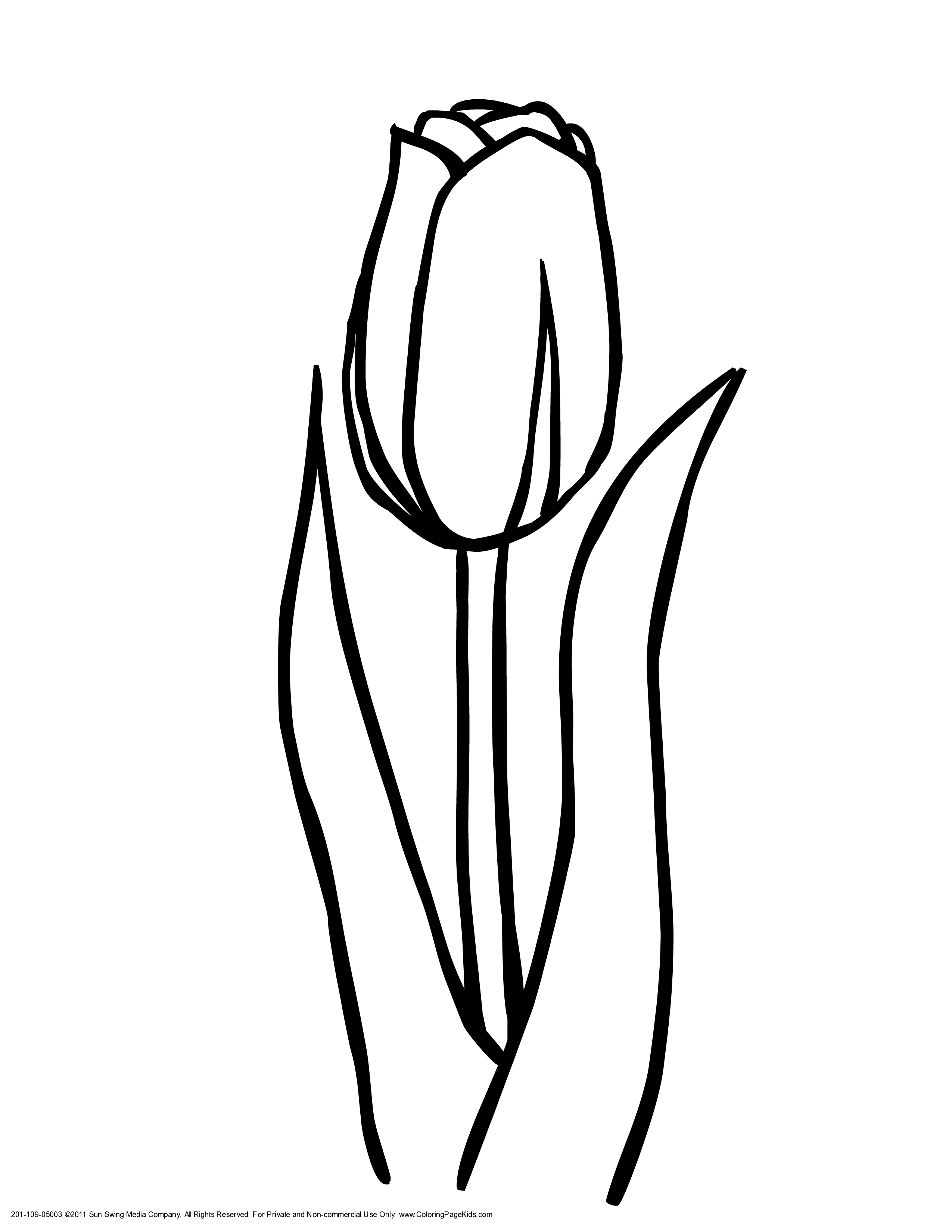 Black And White Tulip Clipart Free download on ClipArtMag