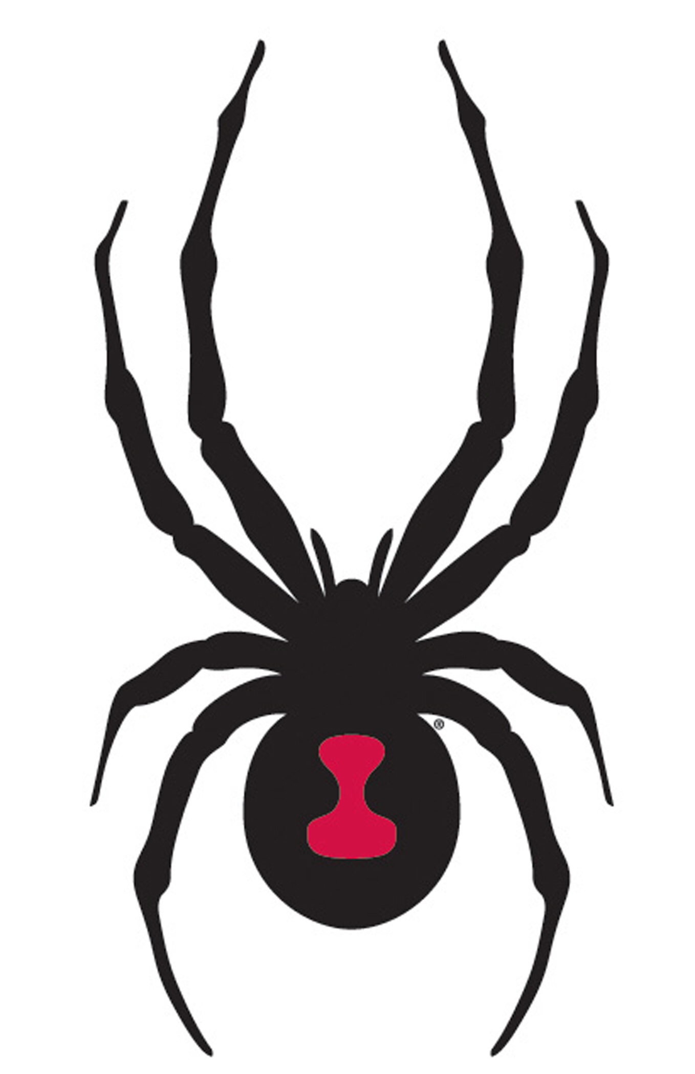 Black Widow Spider Clipart Free download on ClipArtMag