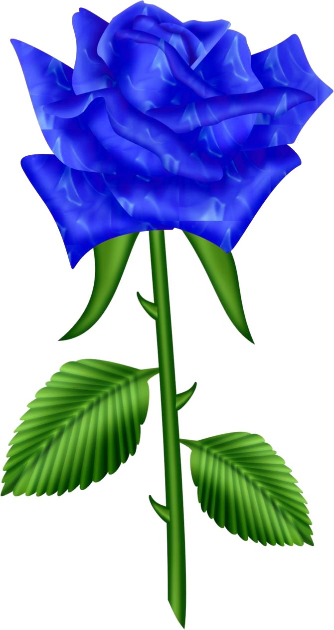 Blue Rose Clipart Free download on ClipArtMag