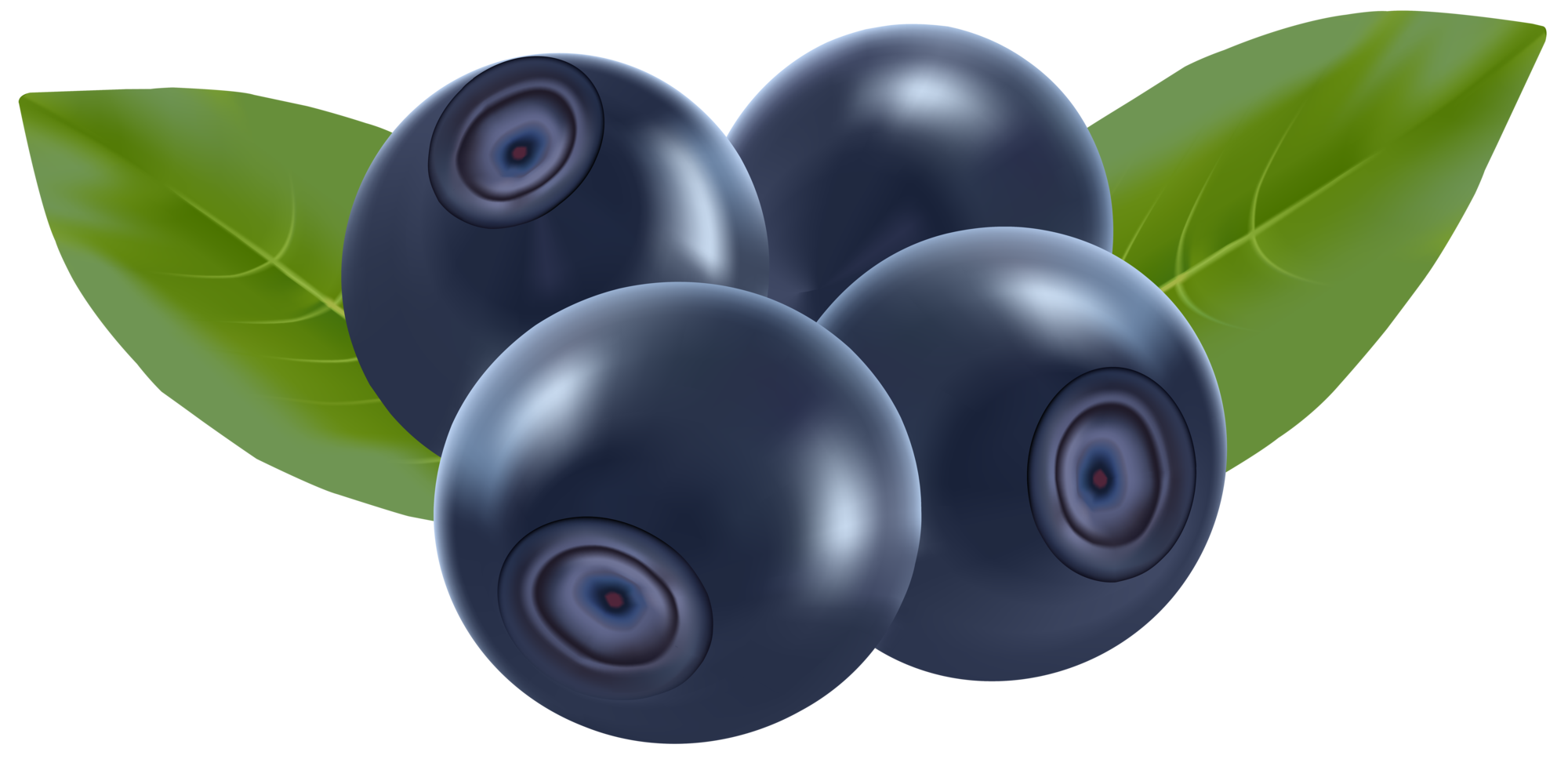 Blueberries Clipart | Free download on ClipArtMag