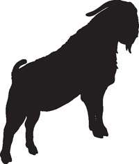 Boer Goat Silhouette | Free download on ClipArtMag