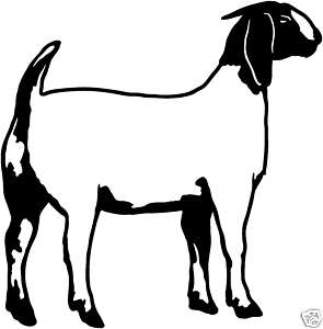 Boer Goat Silhouette | Free download on ClipArtMag