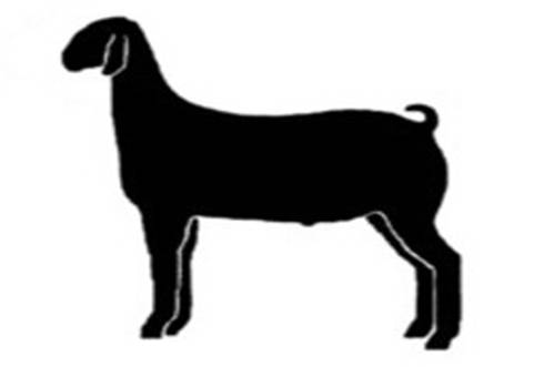 Boer Goat Silhouette | Free download on ClipArtMag