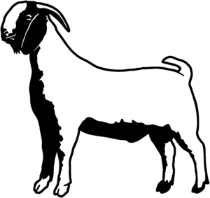 Boer Goat Silhouette | Free download on ClipArtMag