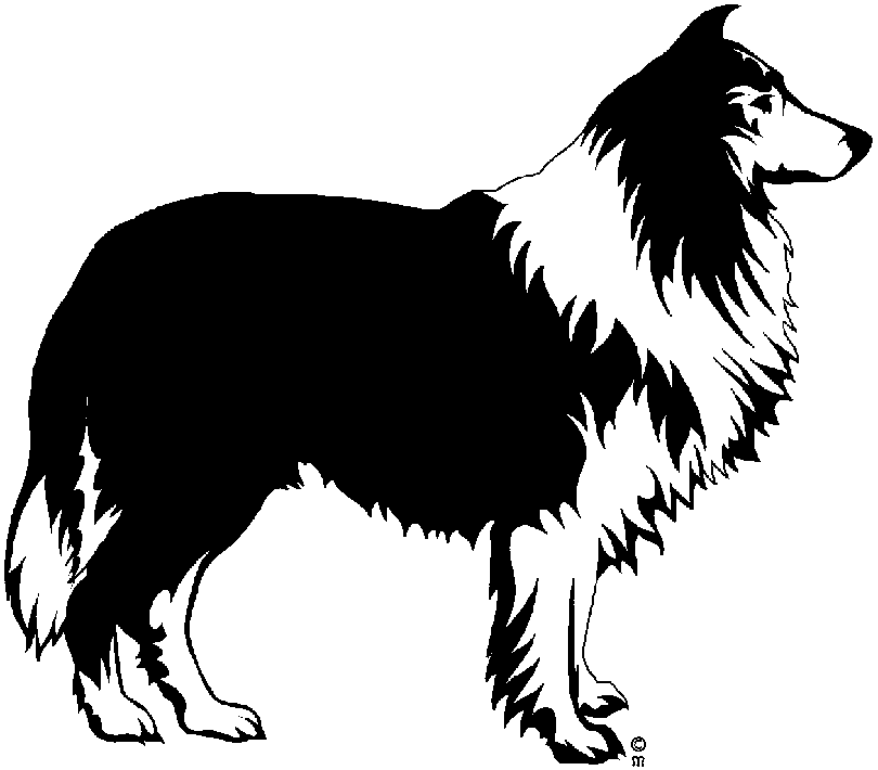 Border Collie Outline | Free download on ClipArtMag