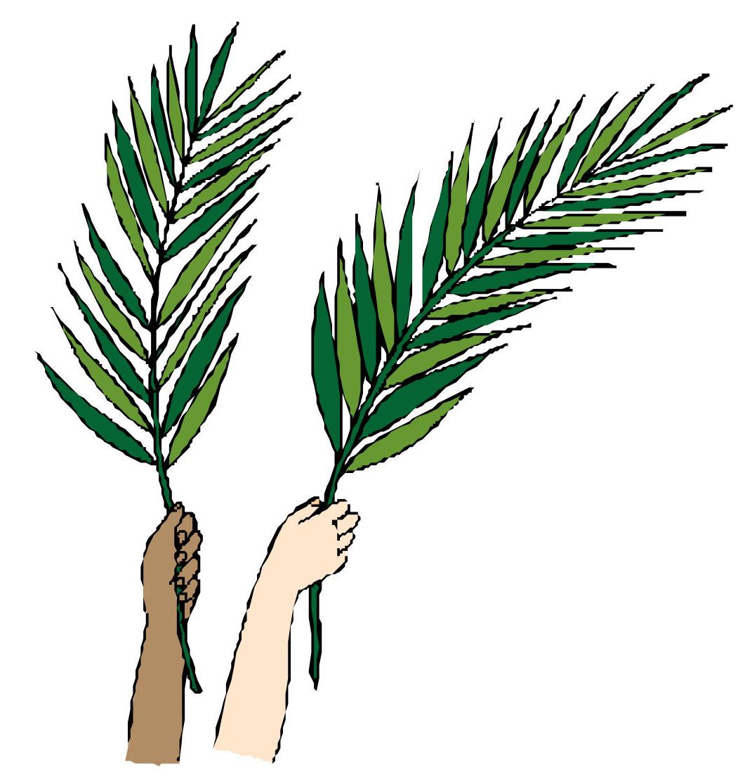 Branch Clipart Free download on ClipArtMag