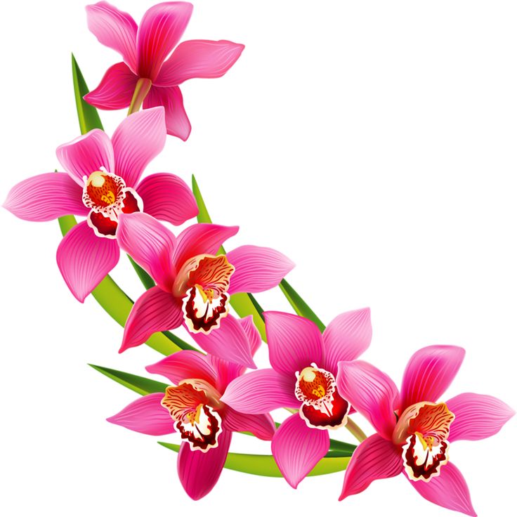 Bunch Of Flowers Clipart Free download on ClipArtMag