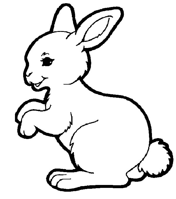 Bunny Coloring Pages Free download on ClipArtMag