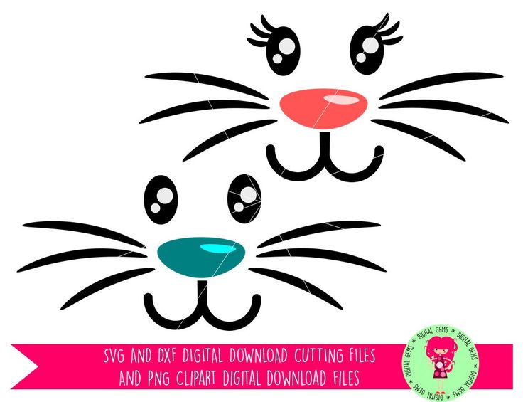 Bunny Face Clipart Free download on ClipArtMag