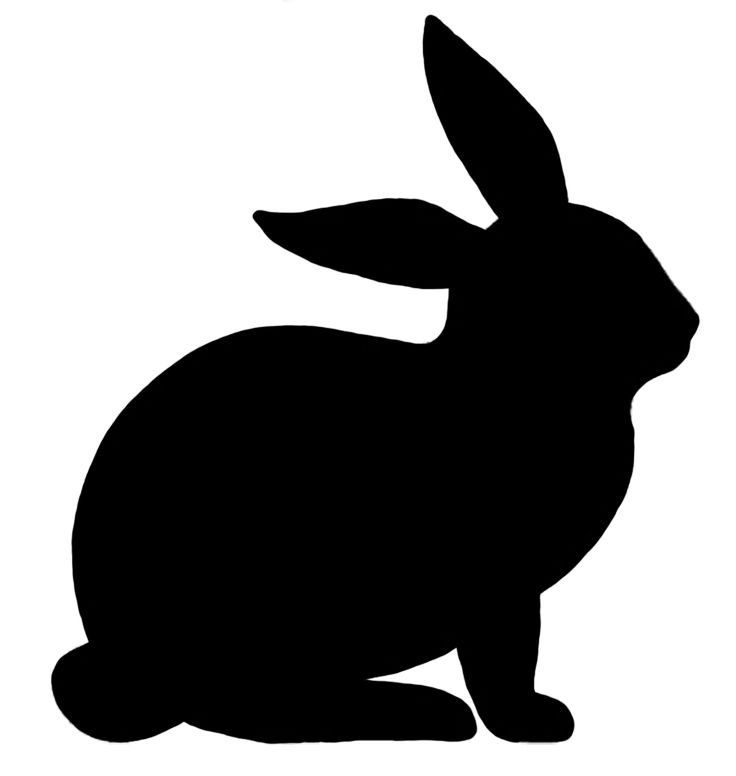 Bunny Tail Clipart | Free download on ClipArtMag