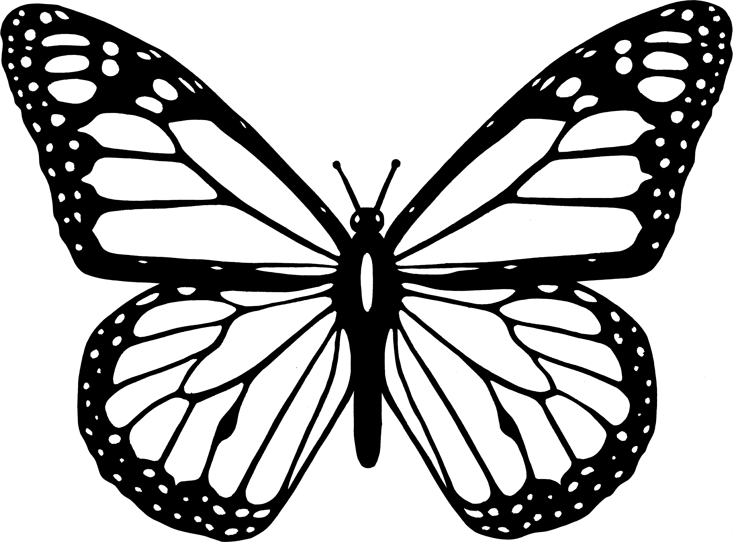 Butterflies Black And White | Free download on ClipArtMag