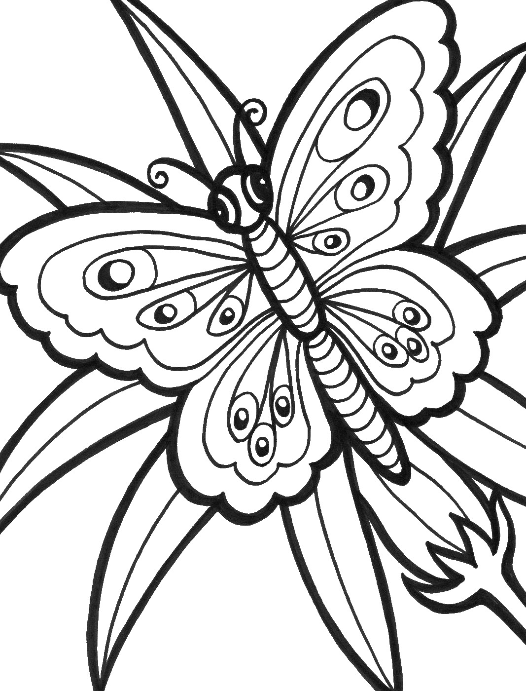 24-printable-butterfly-coloring-pages-pictures-annewhitfield