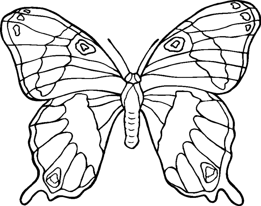 butterfly coloring pages