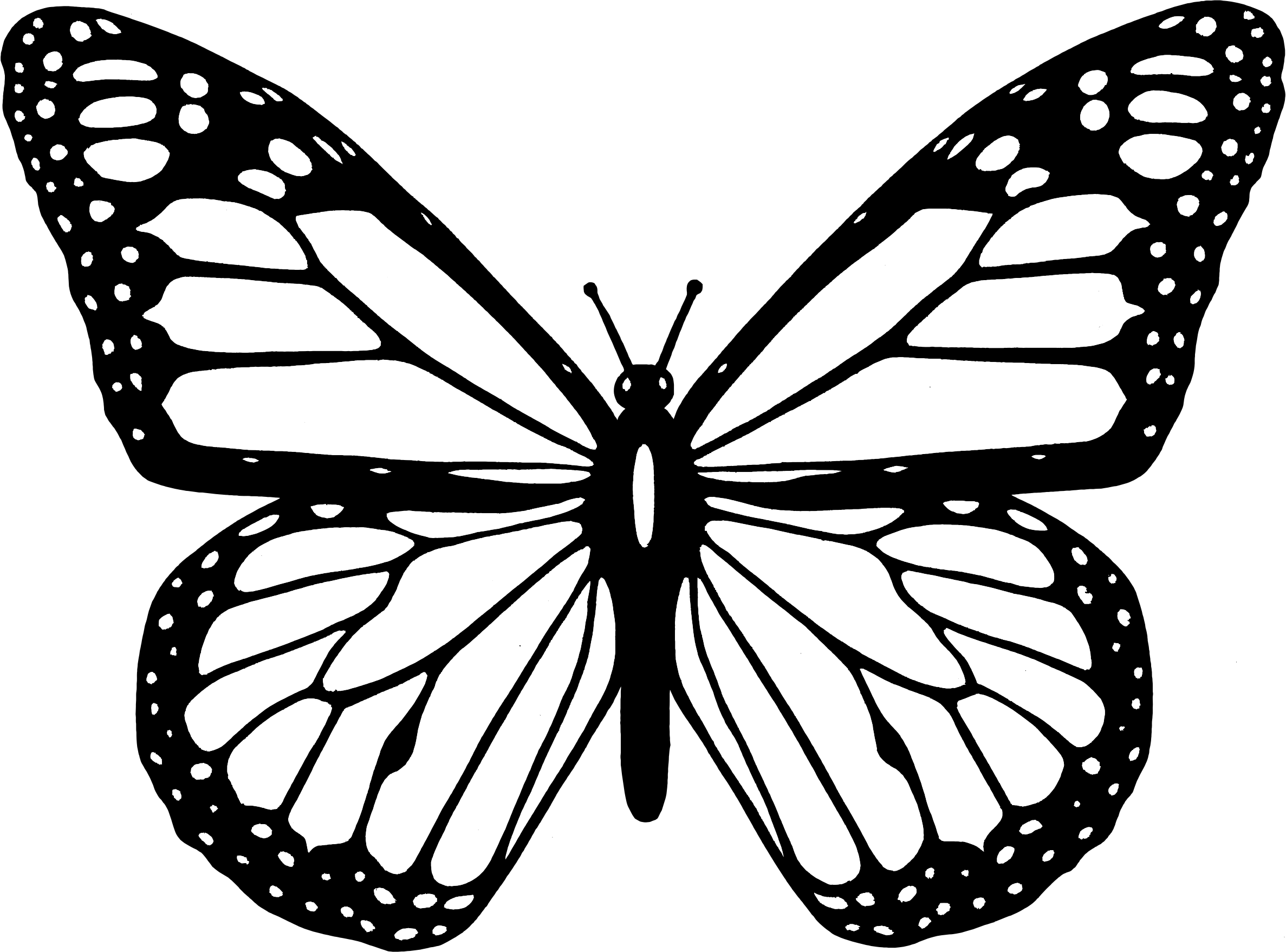 free-butterfly-outline-clipart-download-free-butterfly-outline-clipart