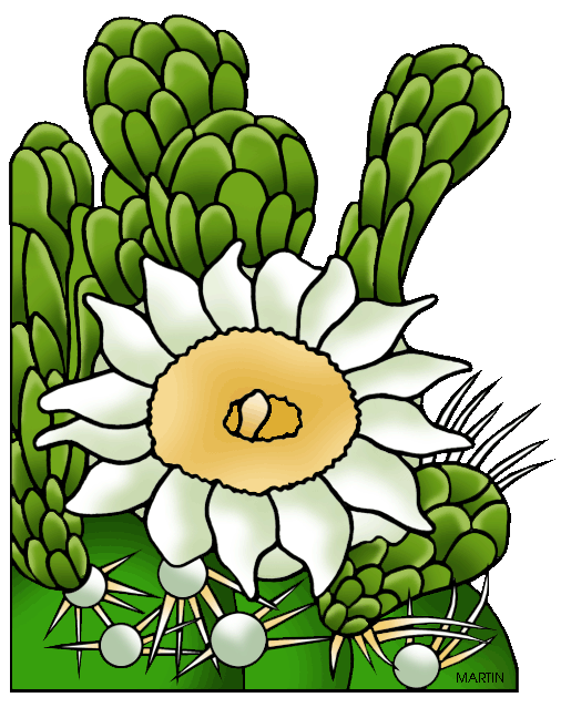 cactus flower clipart