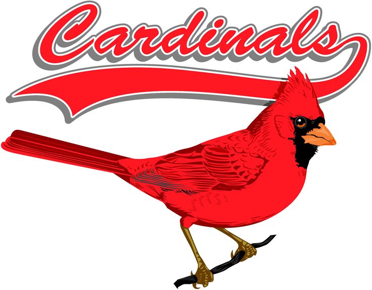 Cardinals Clipart Free | Free download on ClipArtMag