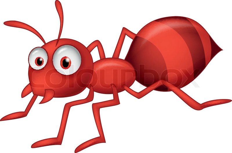 cartoon ant pictures