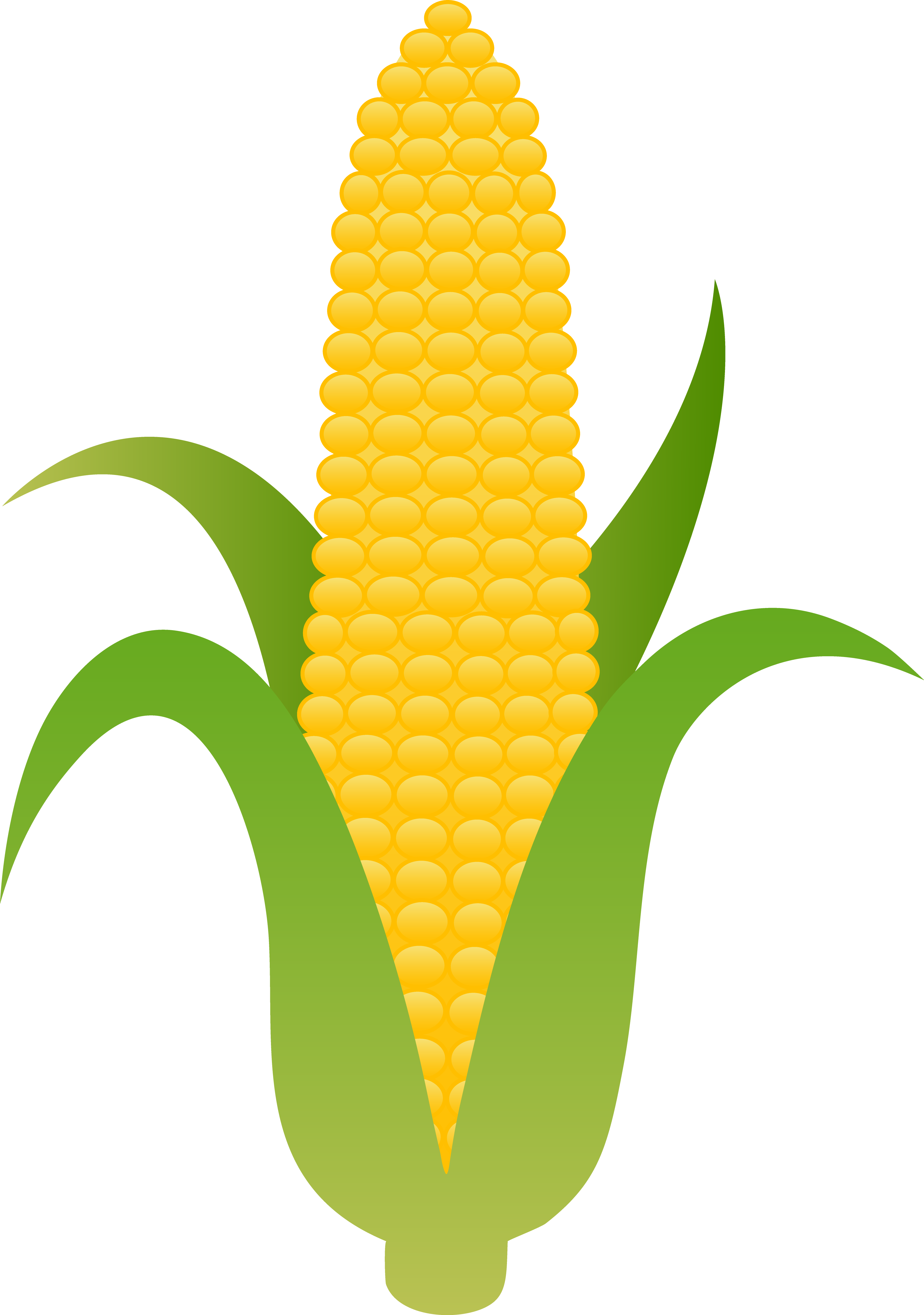 Cartoon Corn On The Cob Free download on ClipArtMag