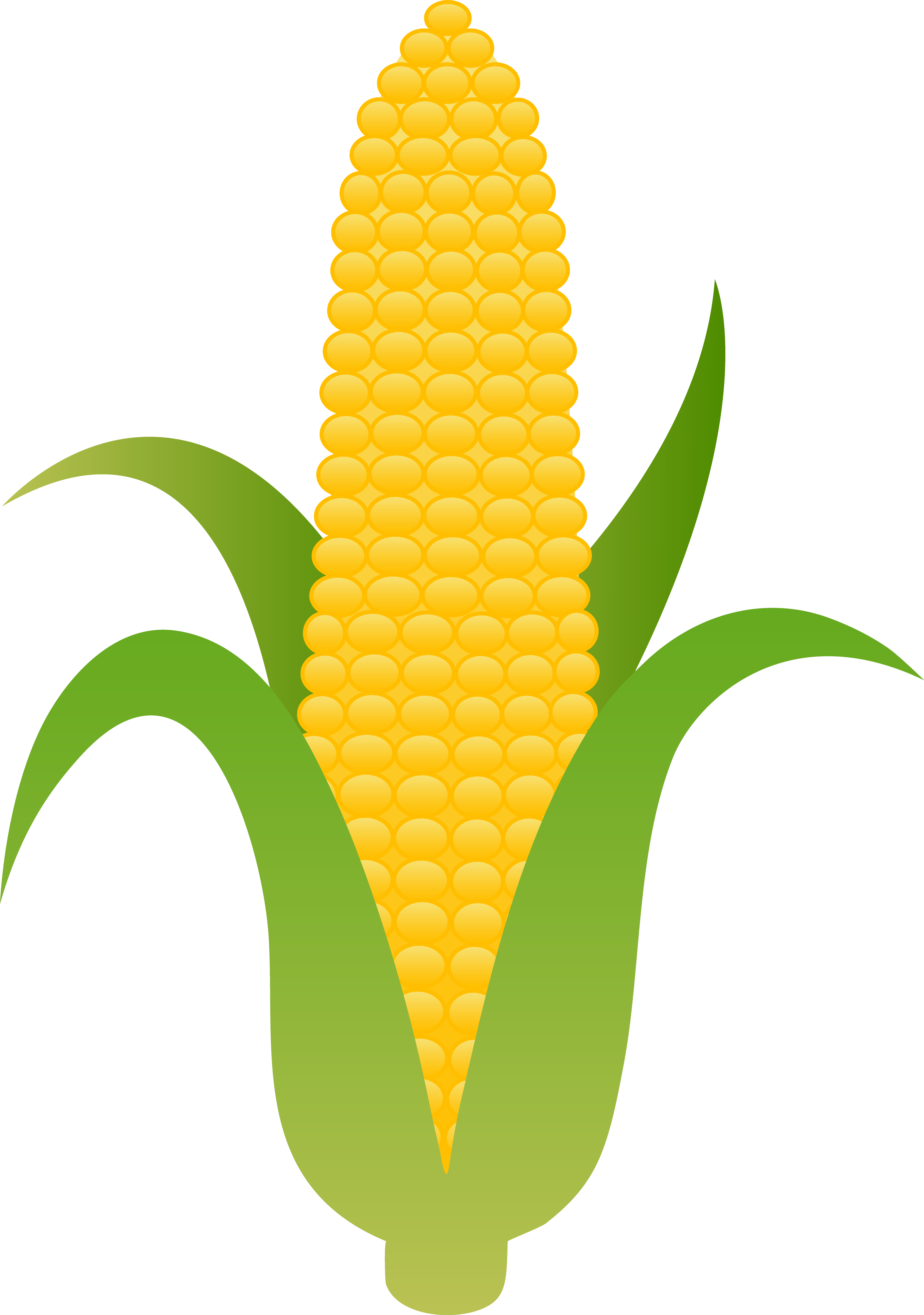 Cartoon Corn On The Cob Free Download On ClipArtMag
