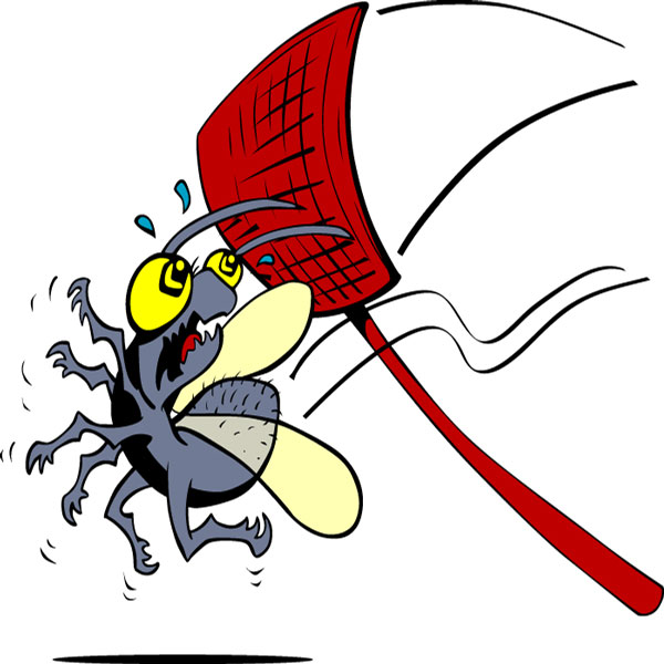 Collection of Bugs clipart Free download best Bugs