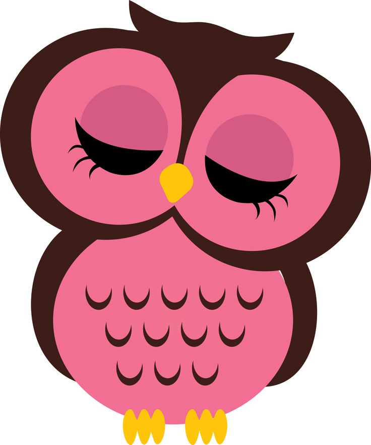 Cartoon Owl Clipart | Free download on ClipArtMag