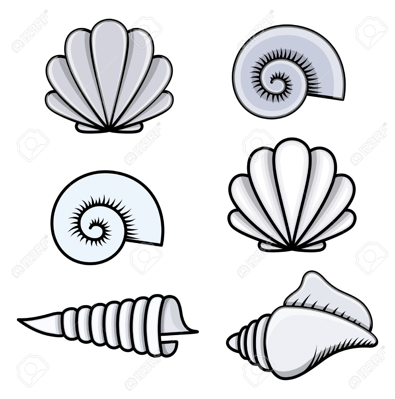 Cartoon Sea Shell | Free download on ClipArtMag