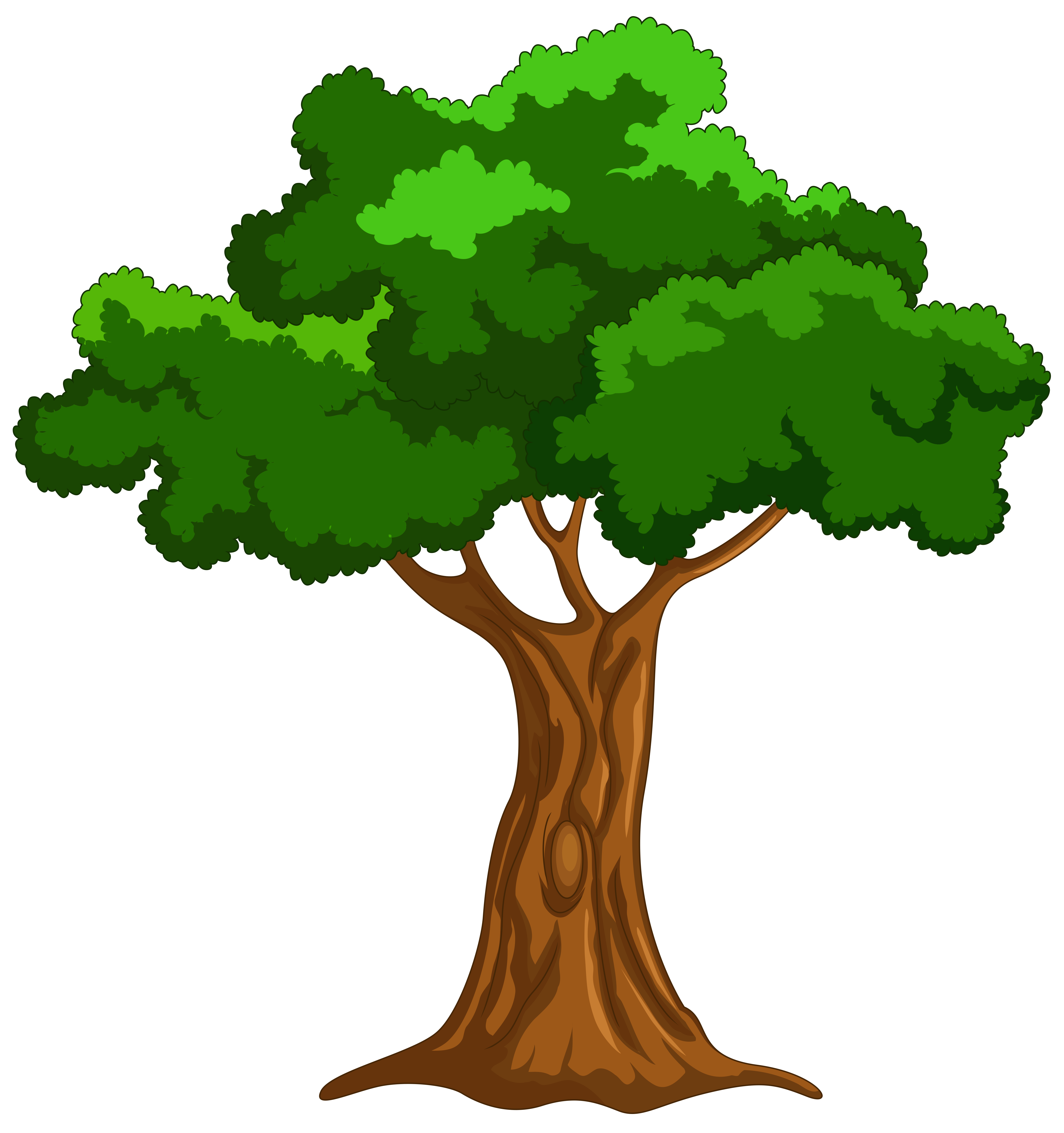 Cartoon Tree Cliparts | Free download on ClipArtMag