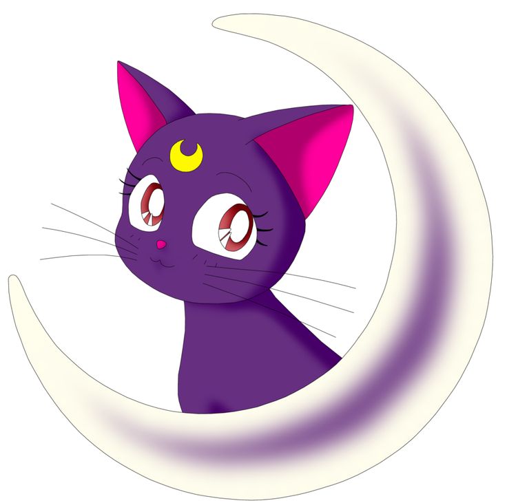 Cat And Moon Clipart | Free download on ClipArtMag