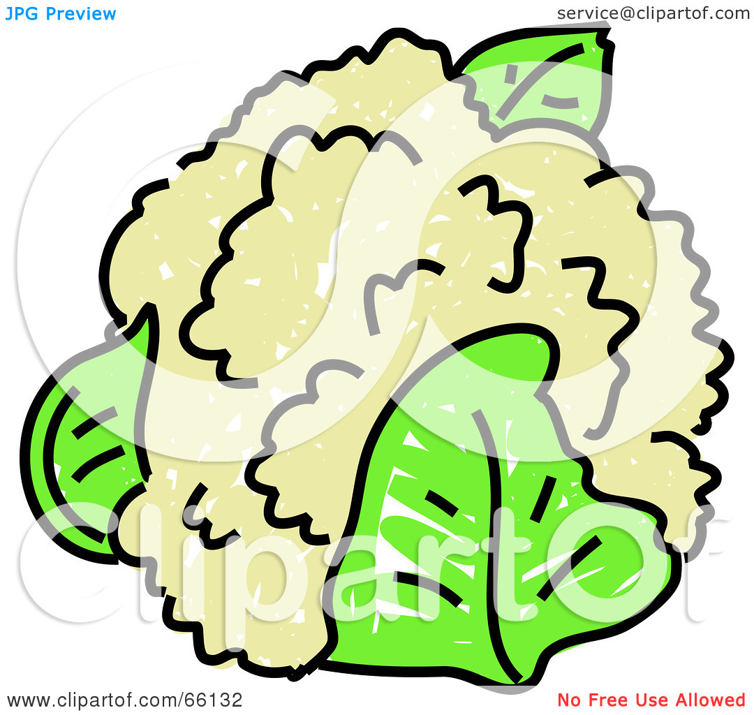 Cauliflower Clipart | Free download on ClipArtMag