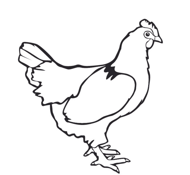 chicken-outline-free-download-on-clipartmag
