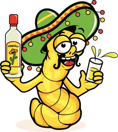 Cinco De Mayo Cartoon | Free download on ClipArtMag