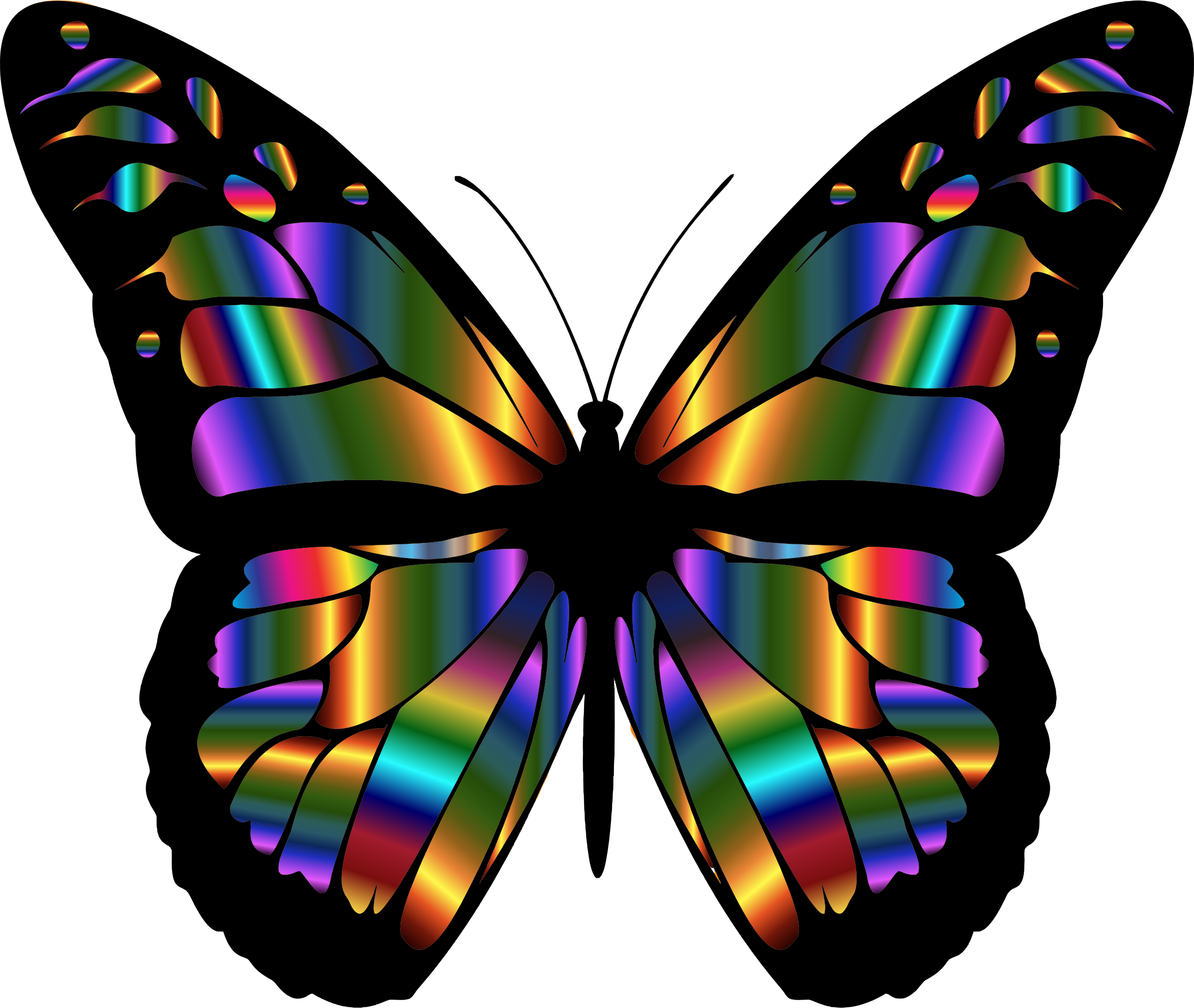 butterfly illustrations free download