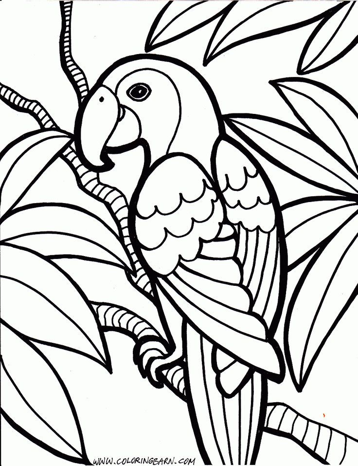 Coloring Pages 11 Year Olds Free download on ClipArtMag