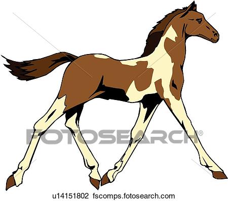 Colt Clipart | Free download on ClipArtMag