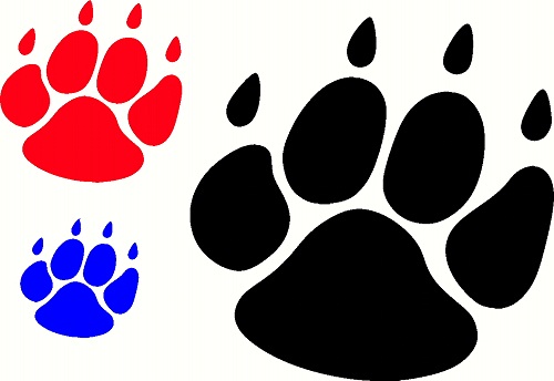 Cougar Paws Clipart | Free download on ClipArtMag