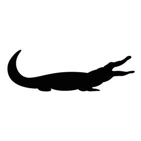 Crocodile Silhouette 