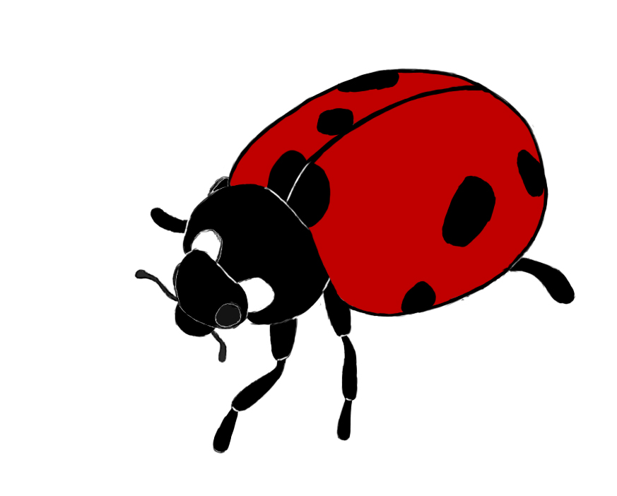 Simple Cute Ladybug Drawing : cute ladybug vector, Just stick the