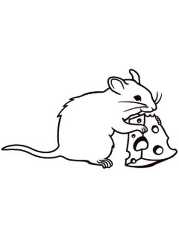 Cute Rat Drawing | Free download on ClipArtMag