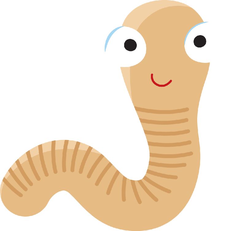 Cute Worm Clipart 