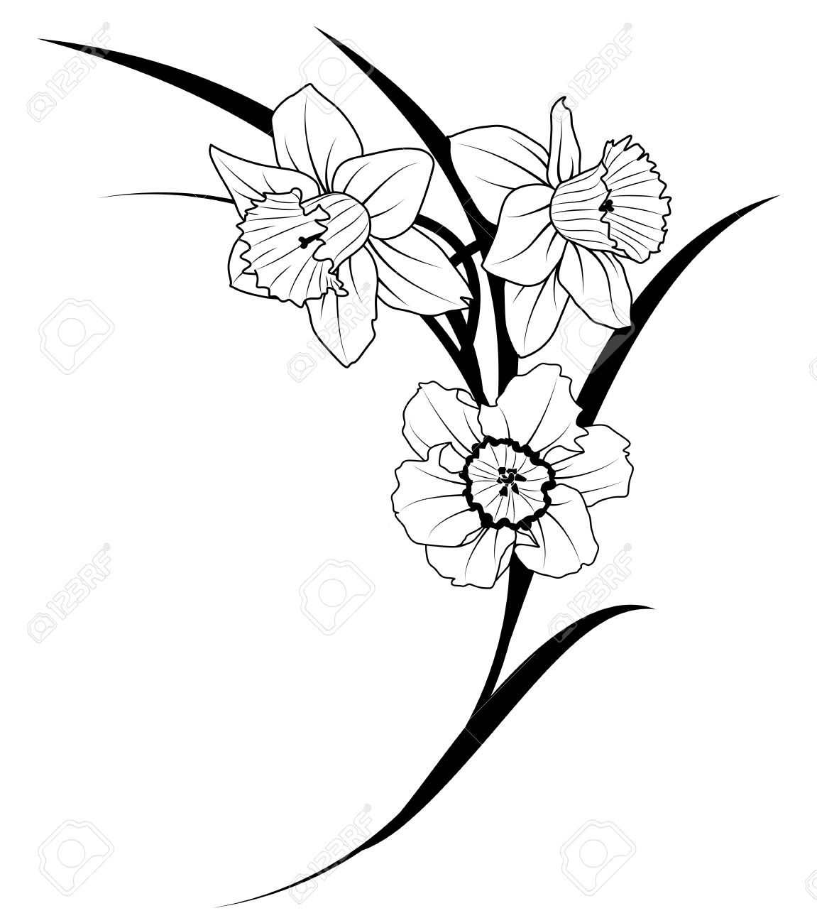 Daffodil Clipart Black And White | Free download on ClipArtMag