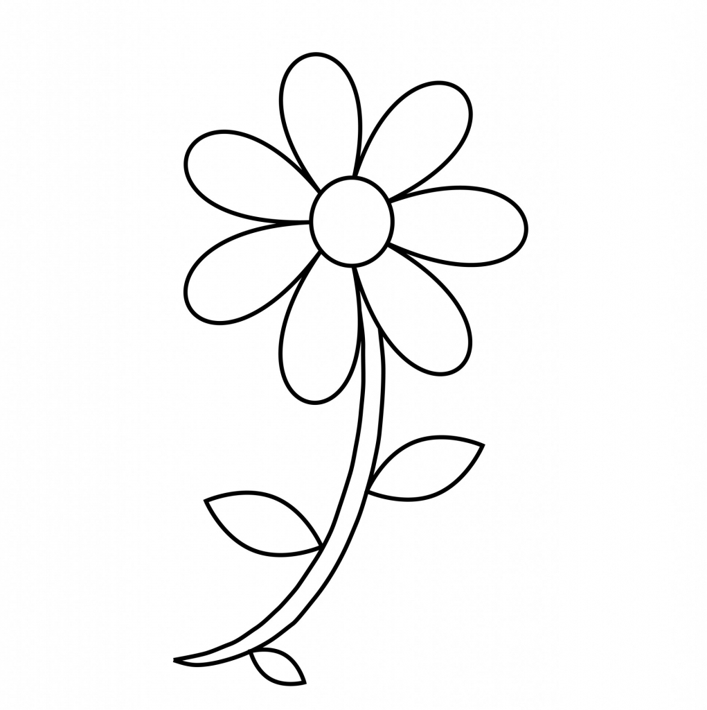 Daisy Flower Outline 