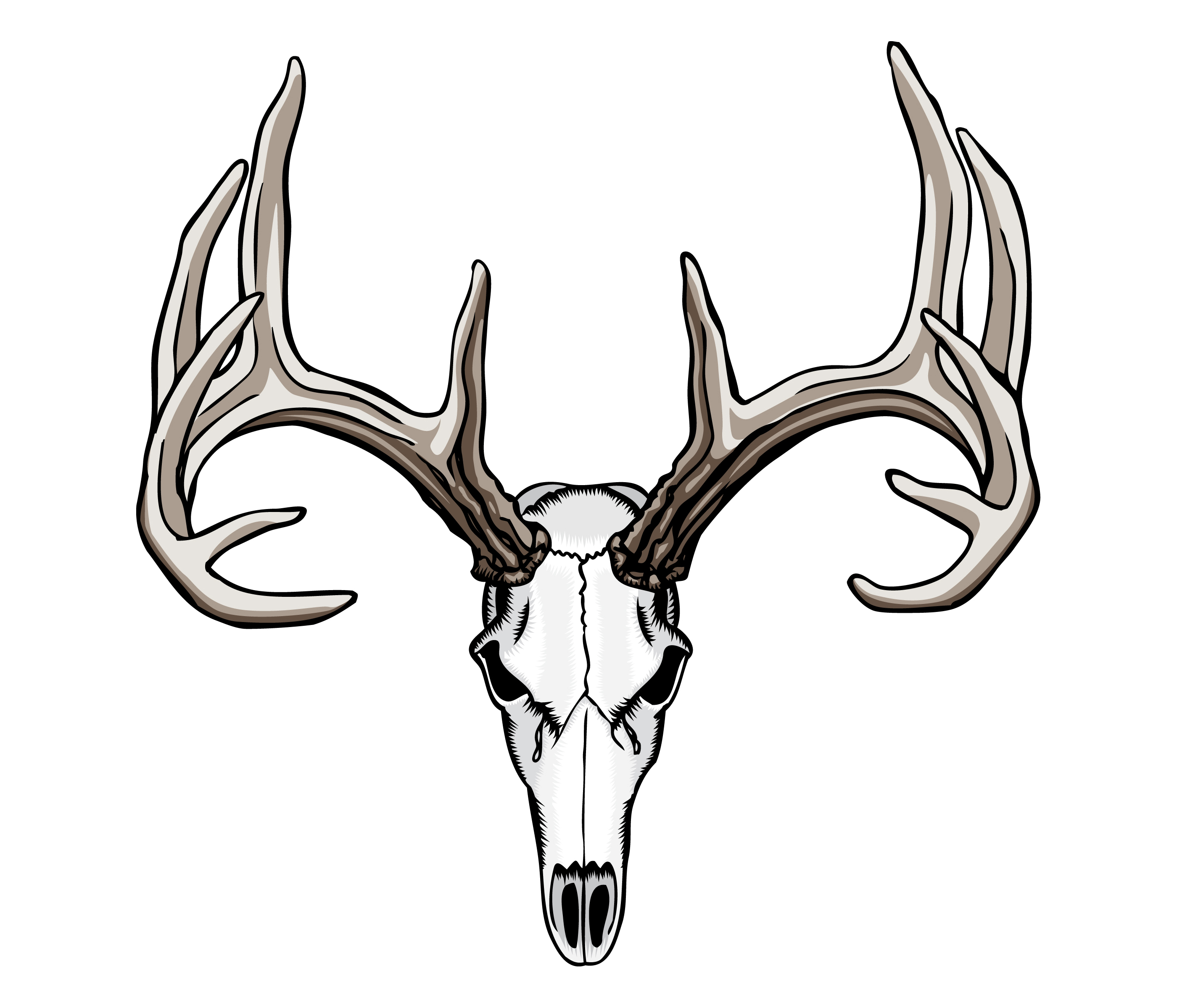 Deer Skull Decal | Free download on ClipArtMag