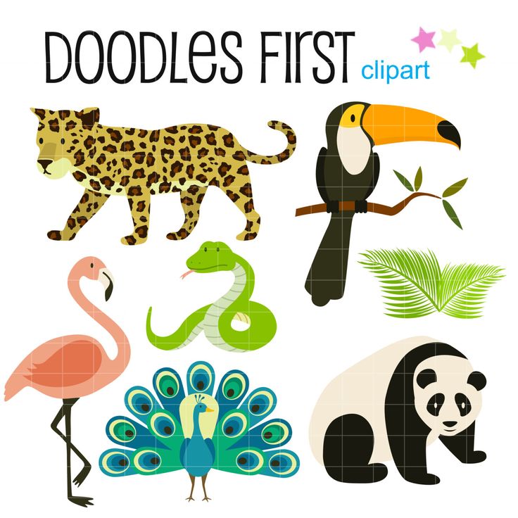 desert animals clipart