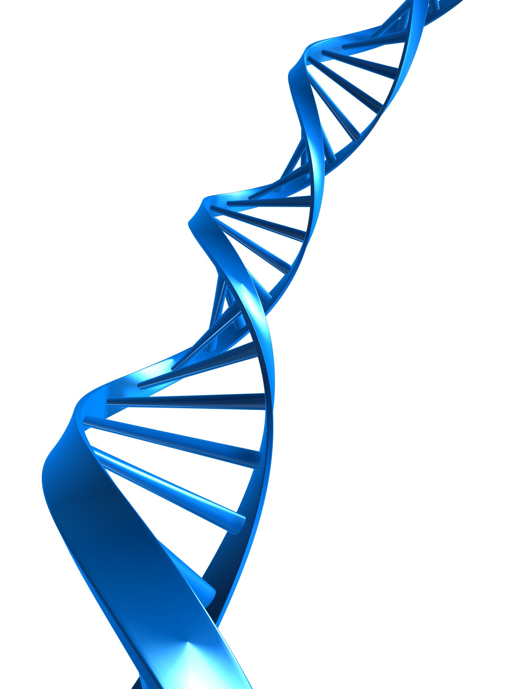 dna-helix-clipart-free-download-on-clipartmag