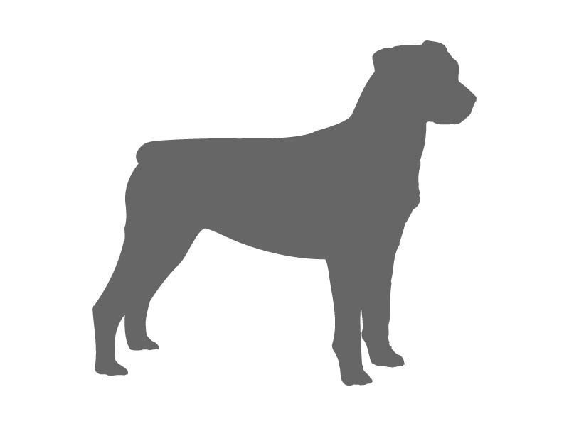 Dog Bone Stencil Free Download On ClipArtMag